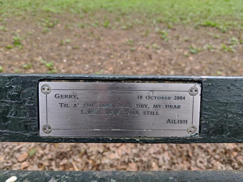 I saw this bench in Central Park