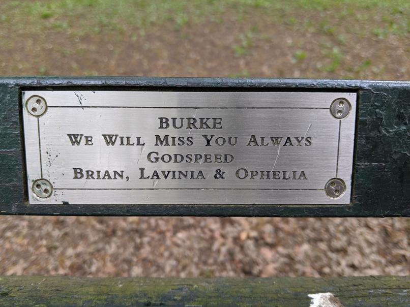 I saw this bench in Central Park