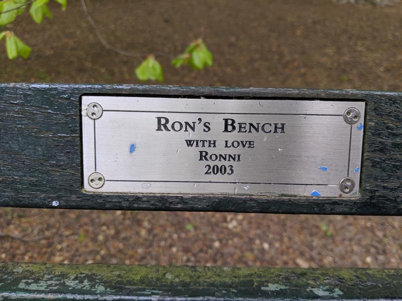 I saw this bench in Central Park