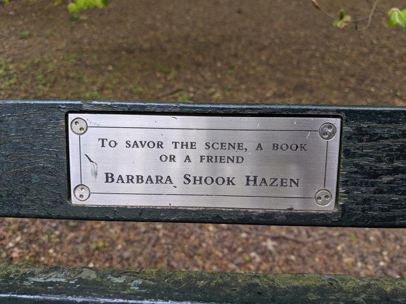 I saw this bench in Central Park