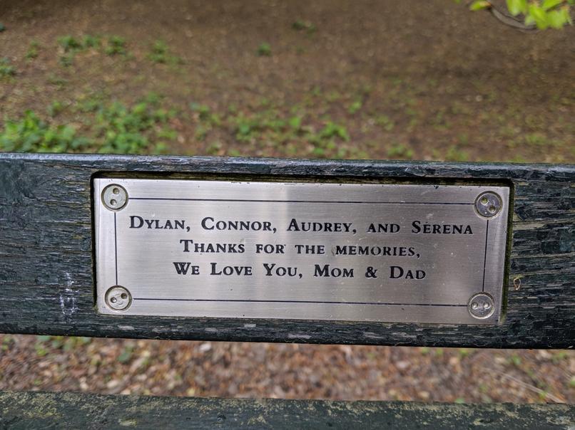 I saw this bench in Central Park