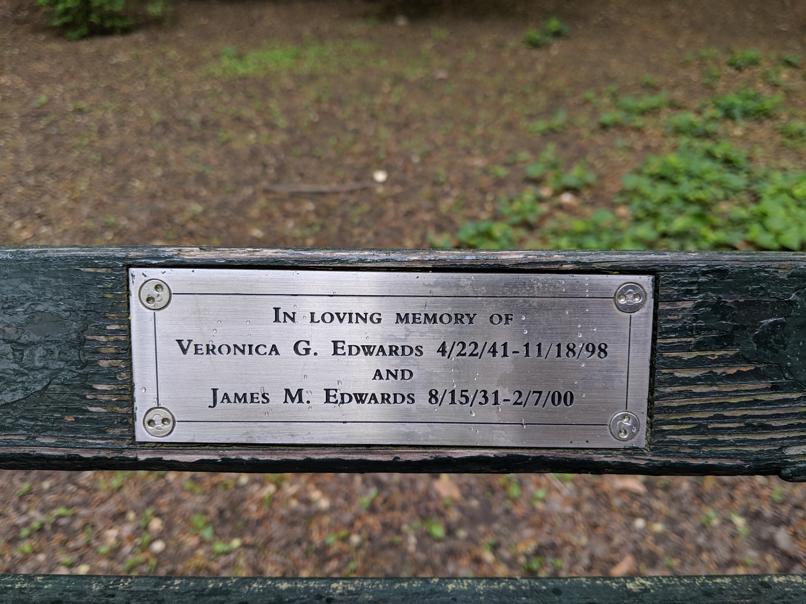 I saw this bench in Central Park