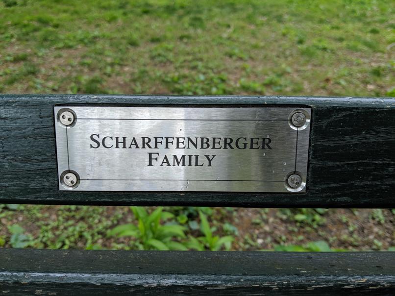 I saw this bench in Central Park