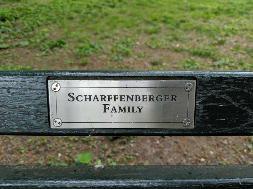 I saw this bench in Central Park