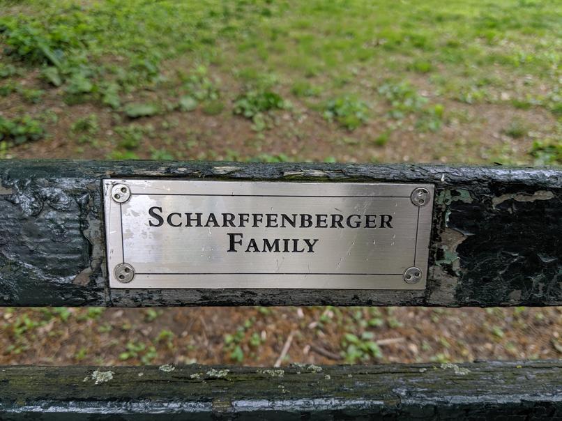 I saw this bench in Central Park