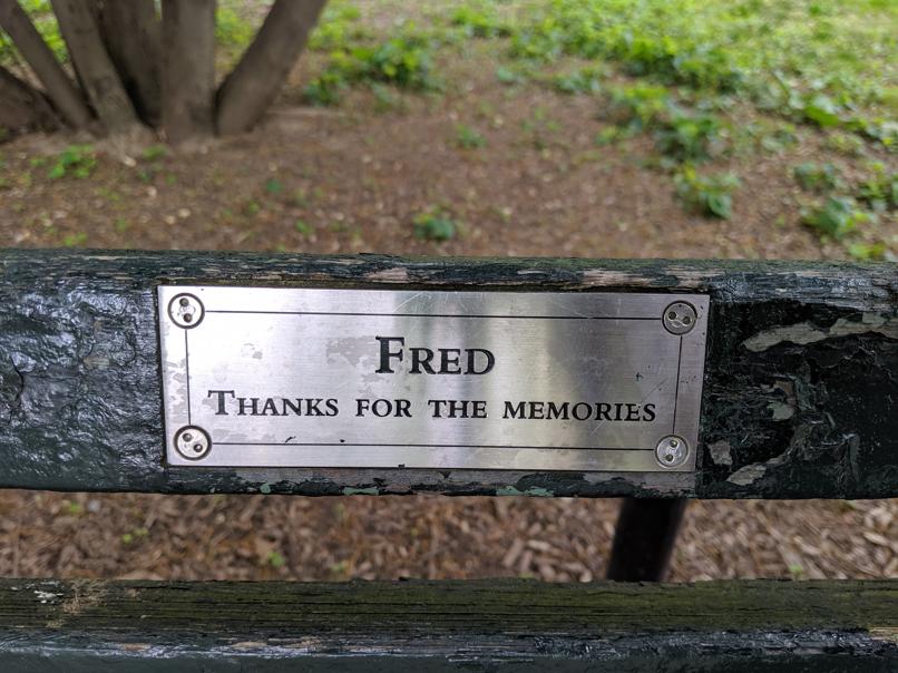 I saw this bench in Central Park