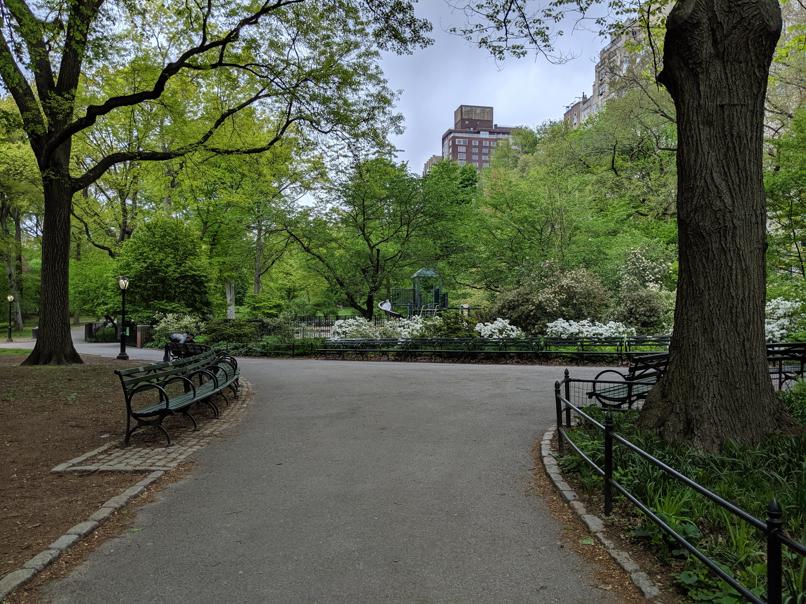 I saw this bench in Central Park