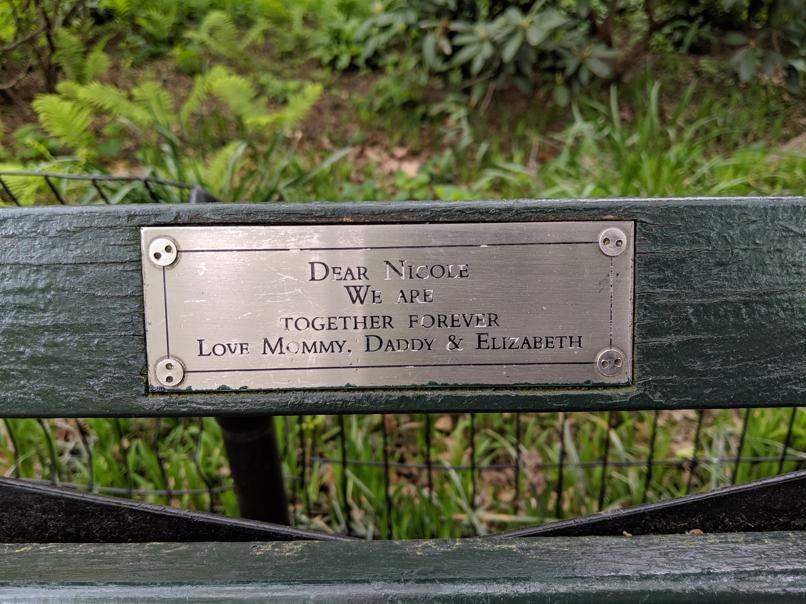 I saw this bench in Central Park