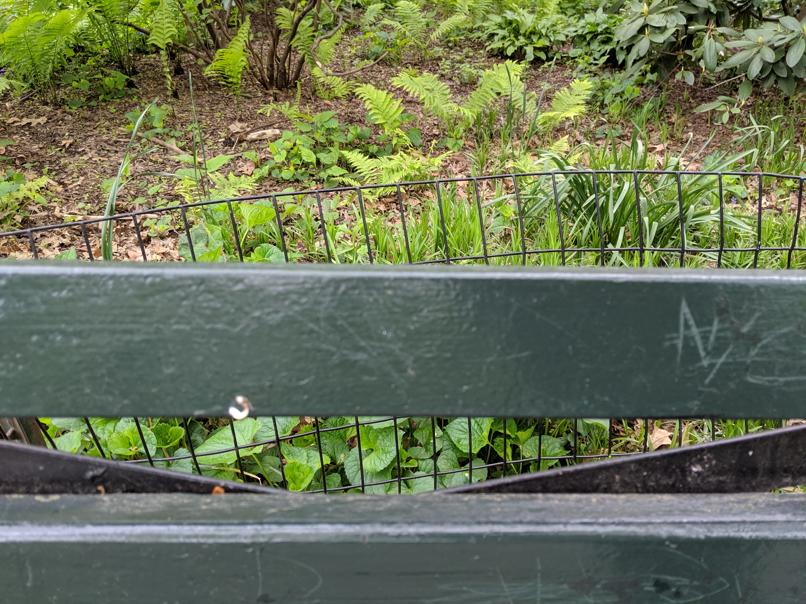 I saw this bench in Central Park