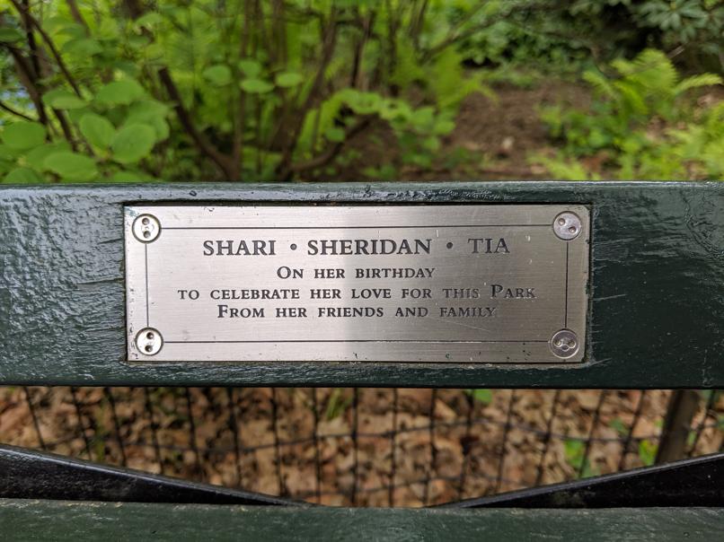 I saw this bench in Central Park