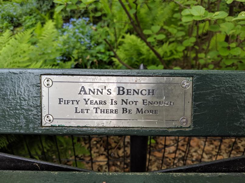 I saw this bench in Central Park