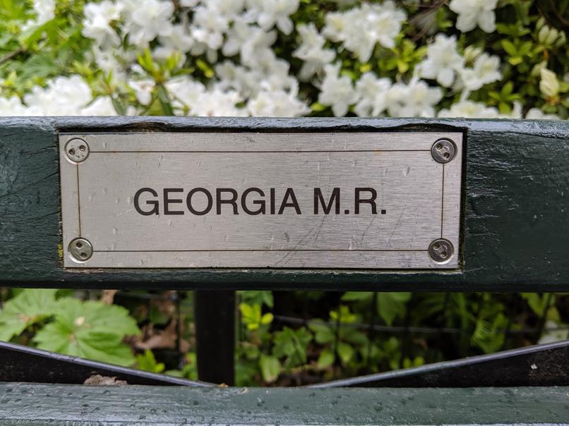 I saw this bench in Central Park