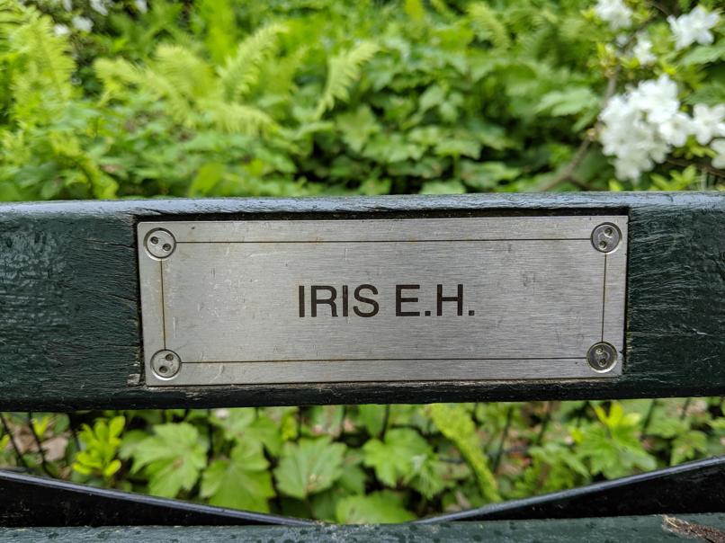 I saw this bench in Central Park