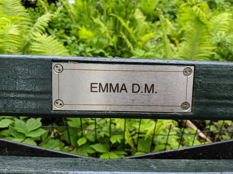 I saw this bench in Central Park