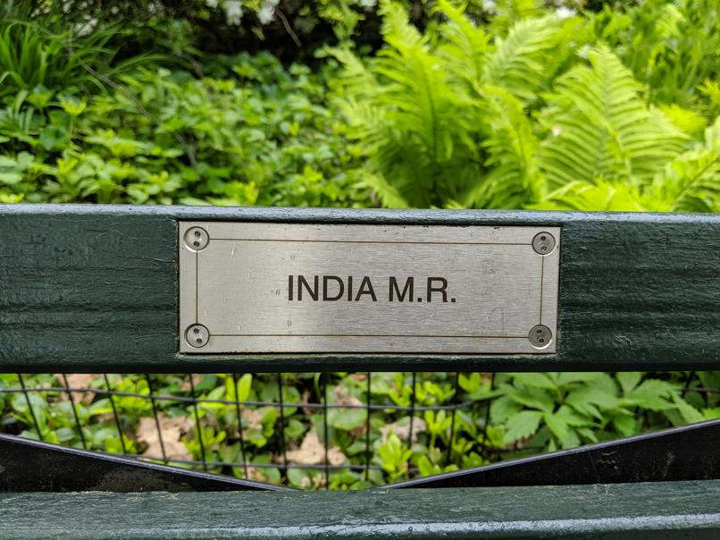 I saw this bench in Central Park