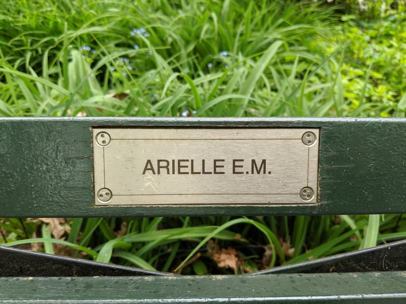 I saw this bench in Central Park