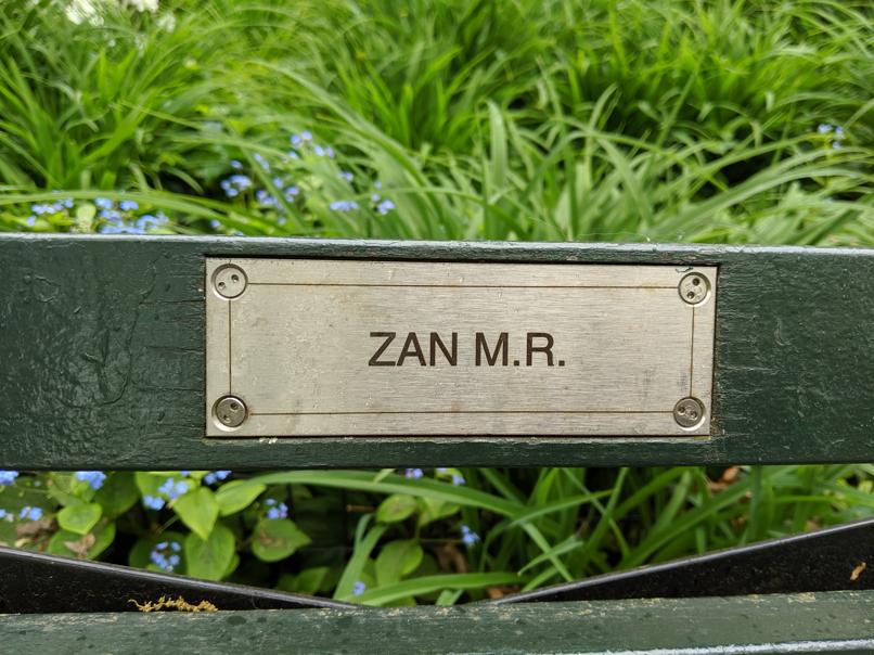 I saw this bench in Central Park