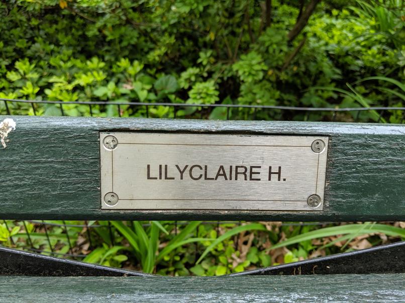 I saw this bench in Central Park