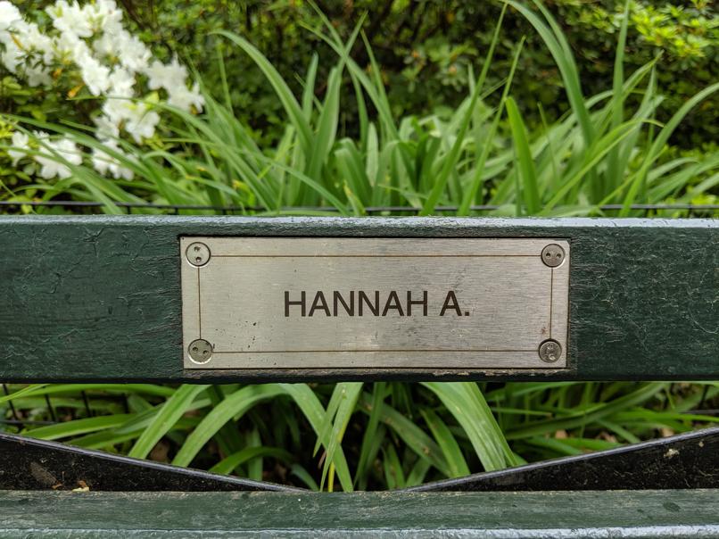 I saw this bench in Central Park