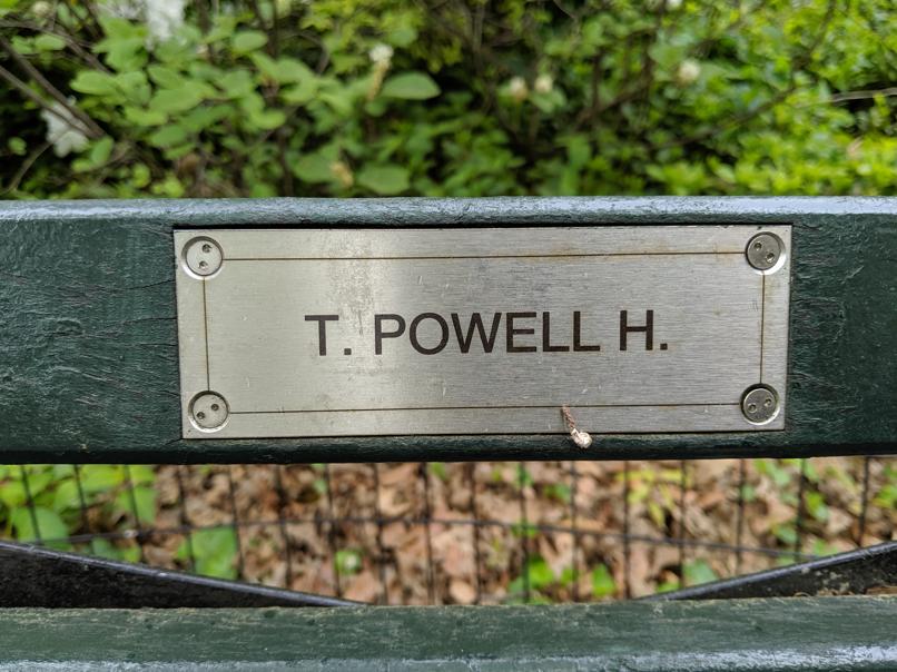 I saw this bench in Central Park