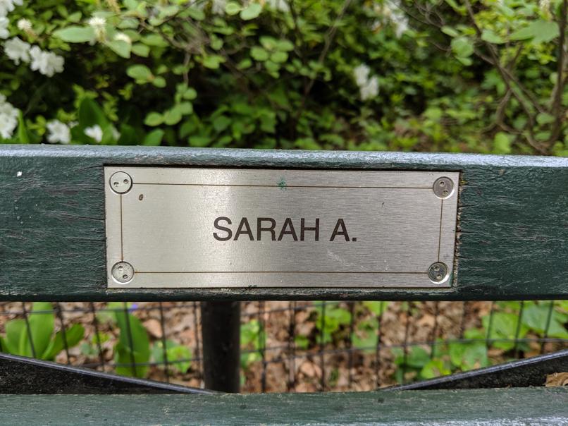 I saw this bench in Central Park