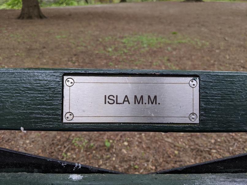 I saw this bench in Central Park