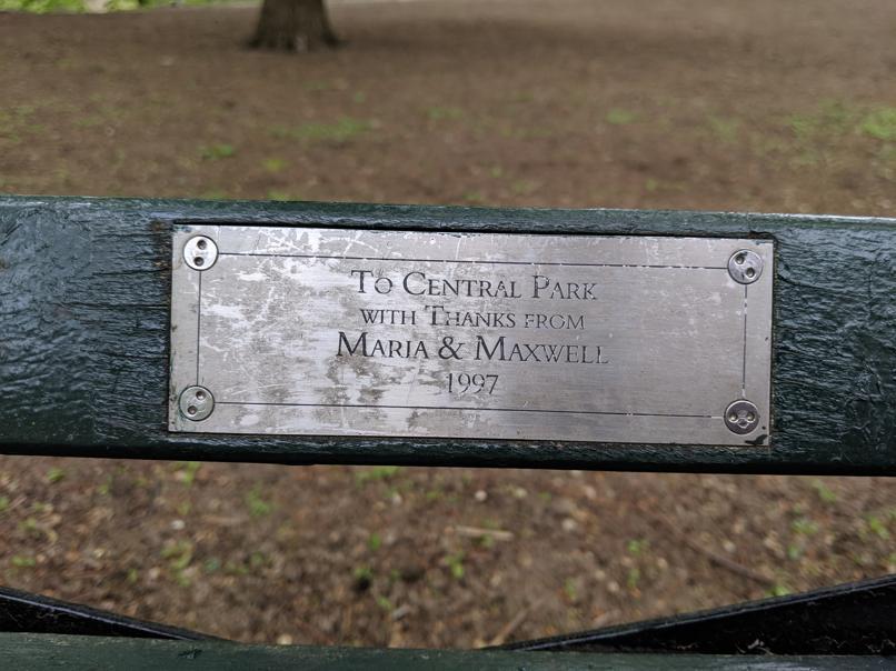 I saw this bench in Central Park