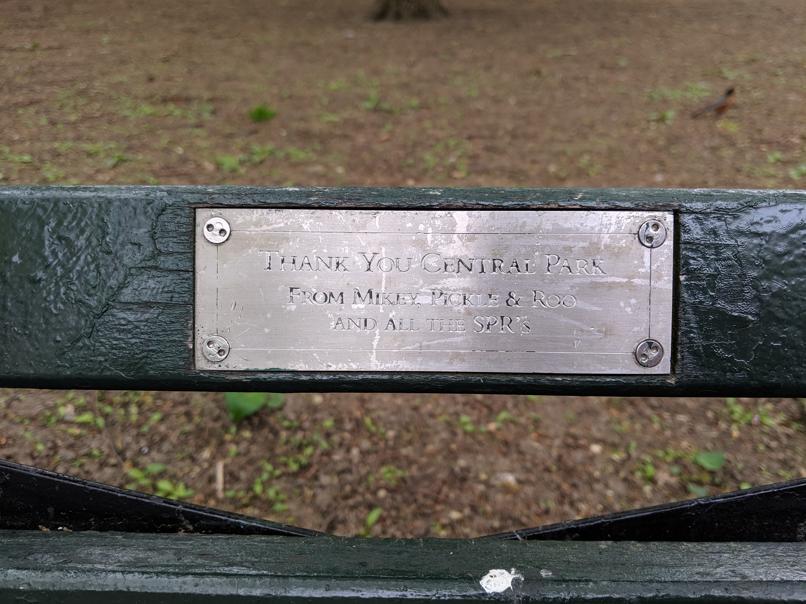 I saw this bench in Central Park