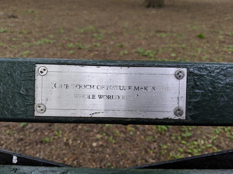 I saw this bench in Central Park