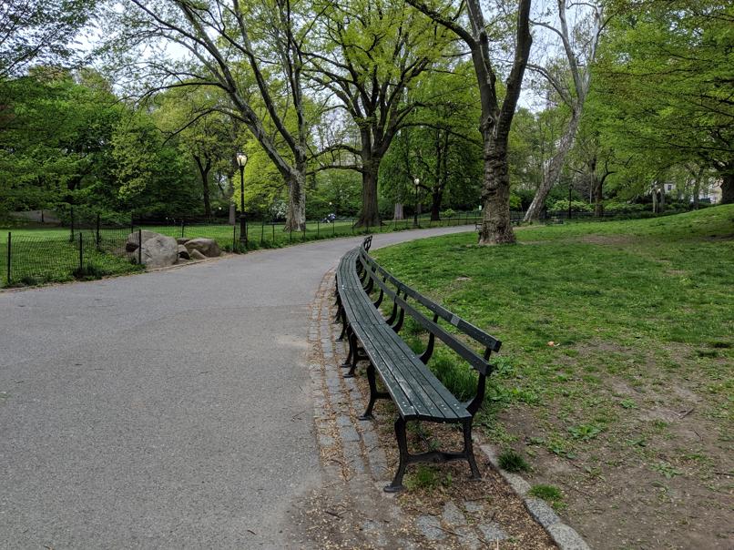 I saw this bench in Central Park