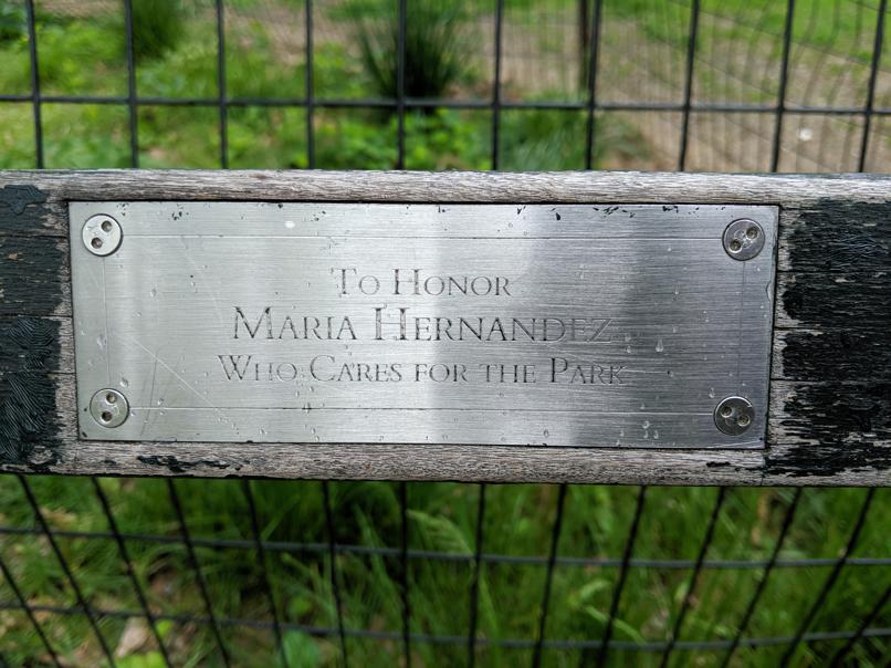 I saw this bench in Central Park