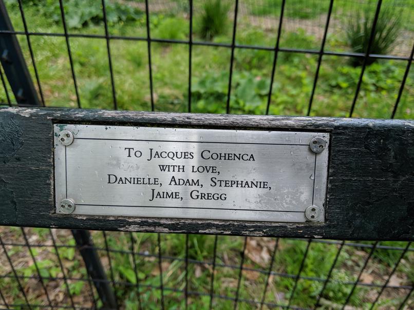 I saw this bench in Central Park