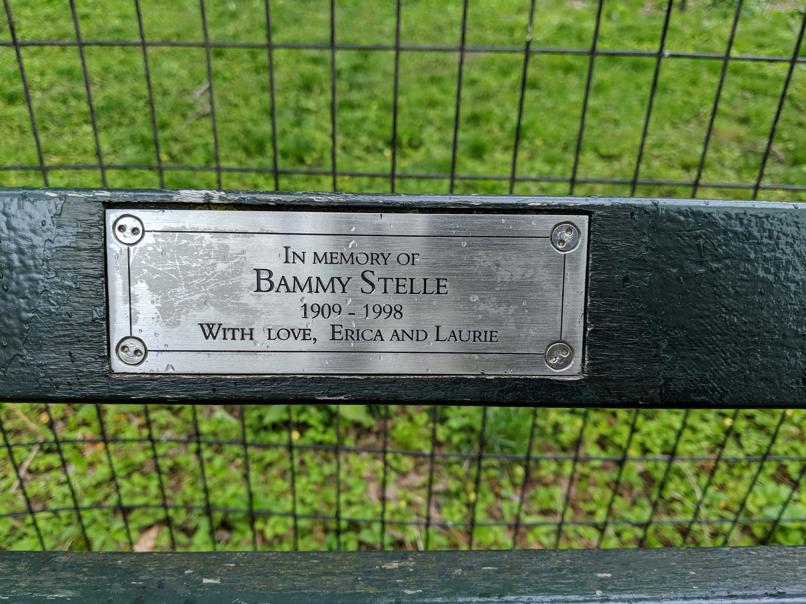 I saw this bench in Central Park