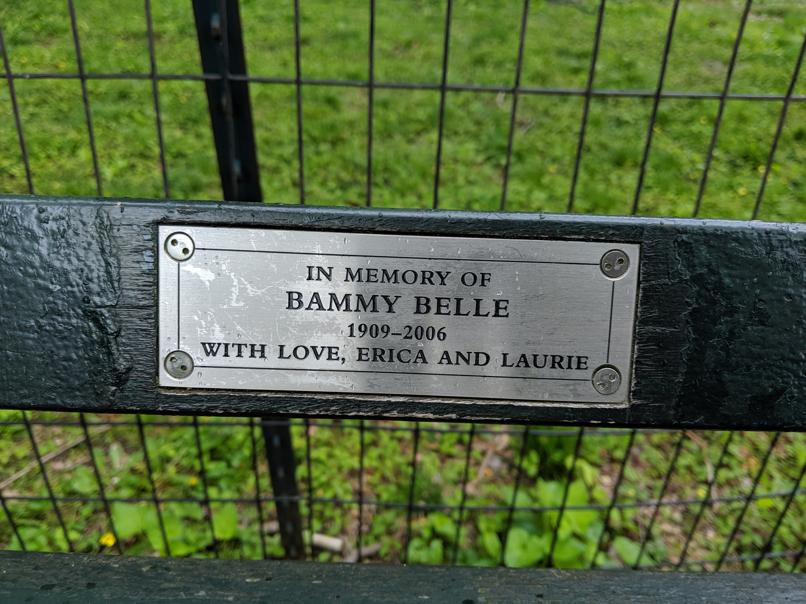 I saw this bench in Central Park