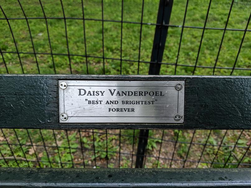 I saw this bench in Central Park