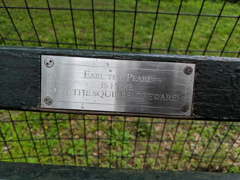 I saw this bench in Central Park