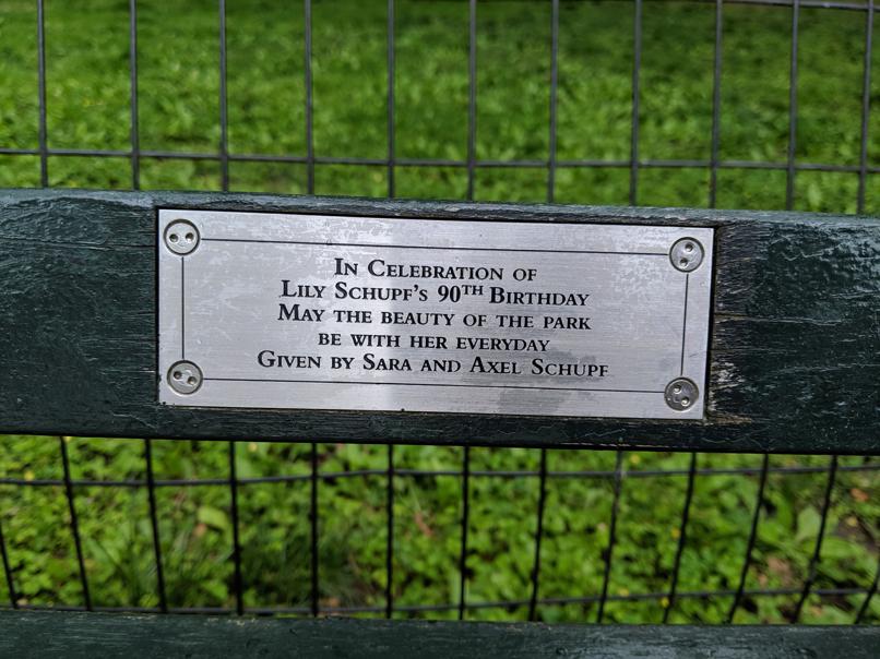 I saw this bench in Central Park