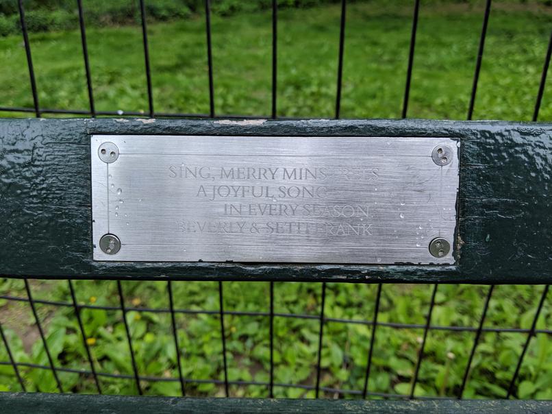 I saw this bench in Central Park