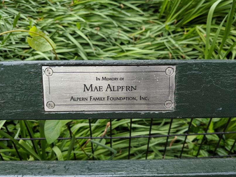 I saw this bench in Central Park