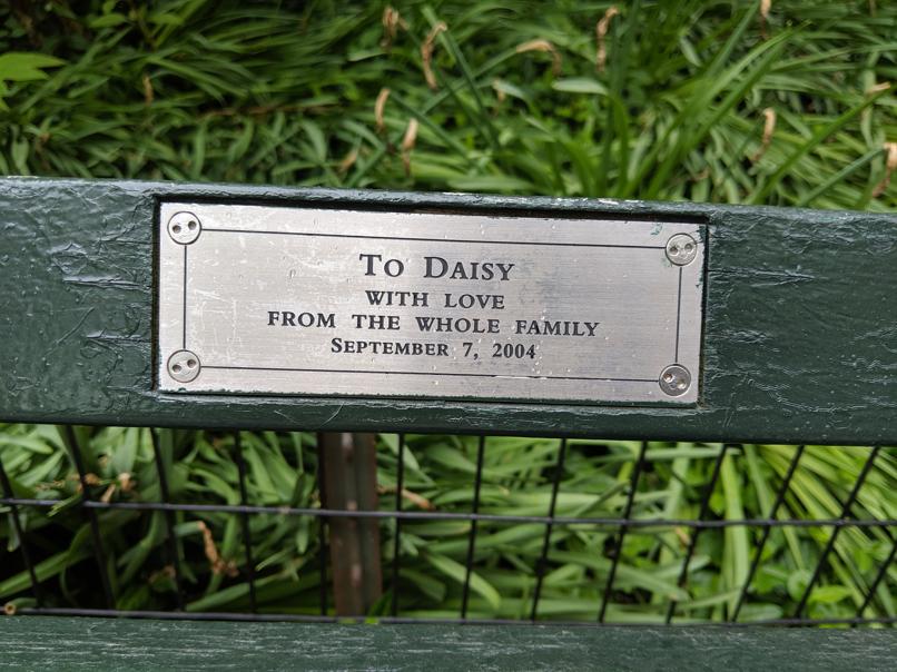 I saw this bench in Central Park