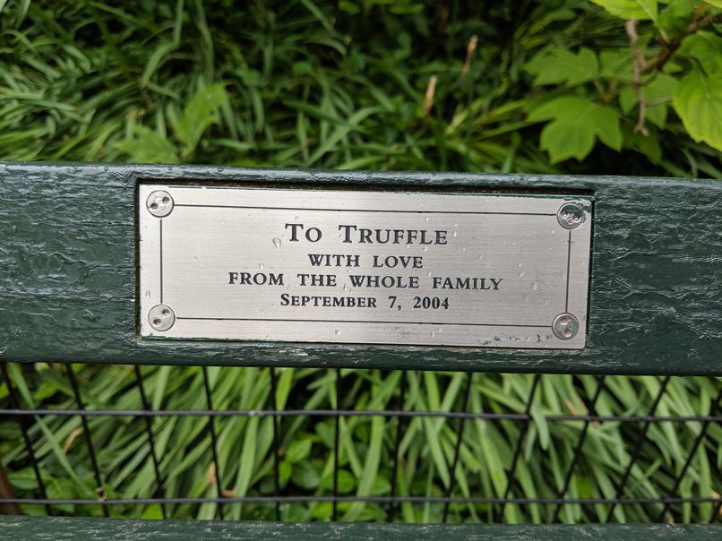 I saw this bench in Central Park