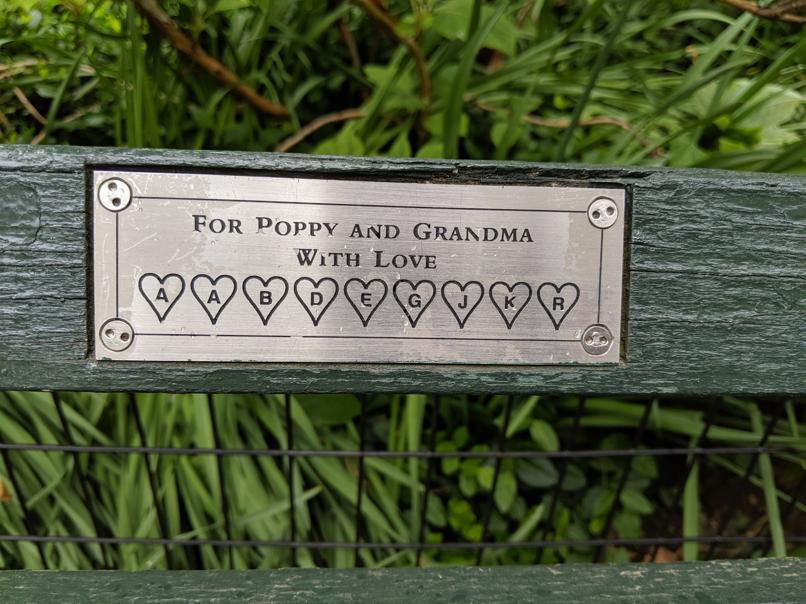 I saw this bench in Central Park