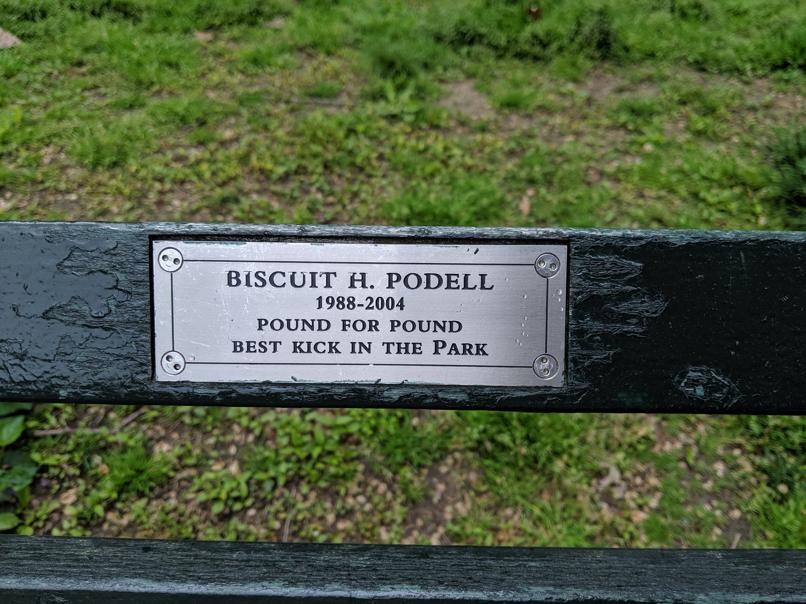 I saw this bench in Central Park