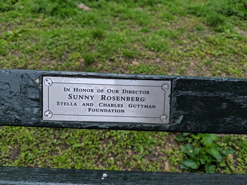 I saw this bench in Central Park