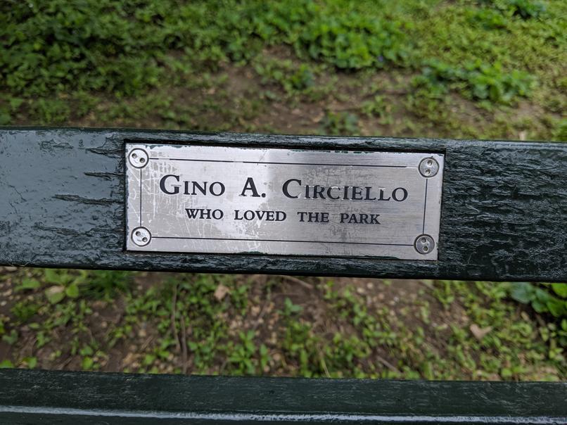 I saw this bench in Central Park