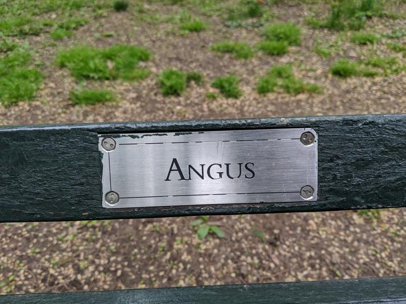 I saw this bench in Central Park