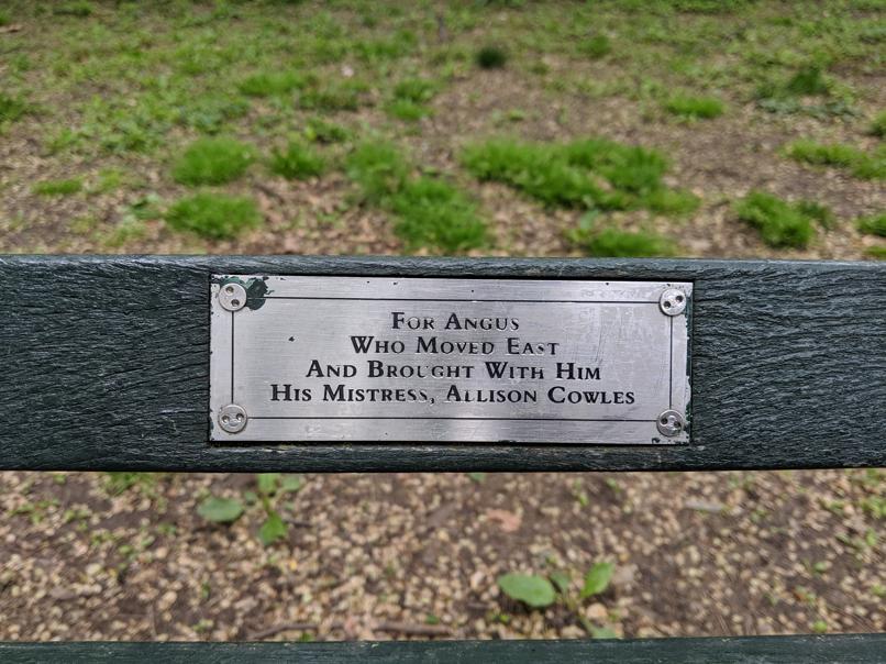 I saw this bench in Central Park