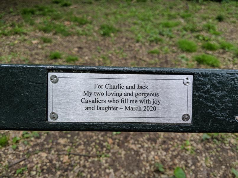 I saw this bench in Central Park