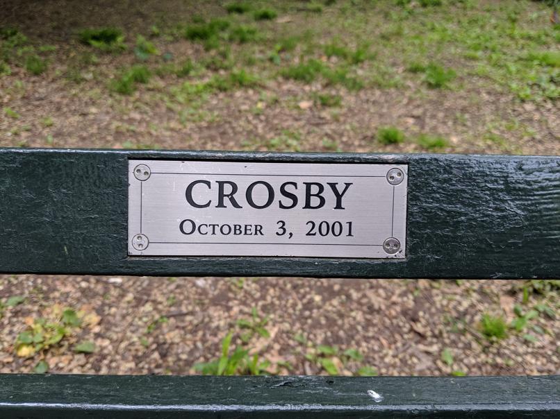 I saw this bench in Central Park