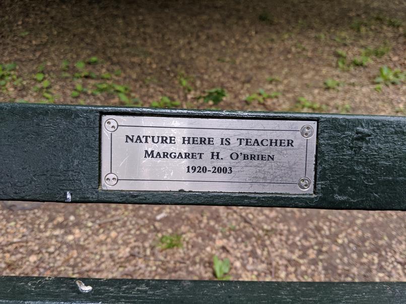 I saw this bench in Central Park